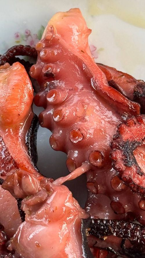 Осьминог сувид